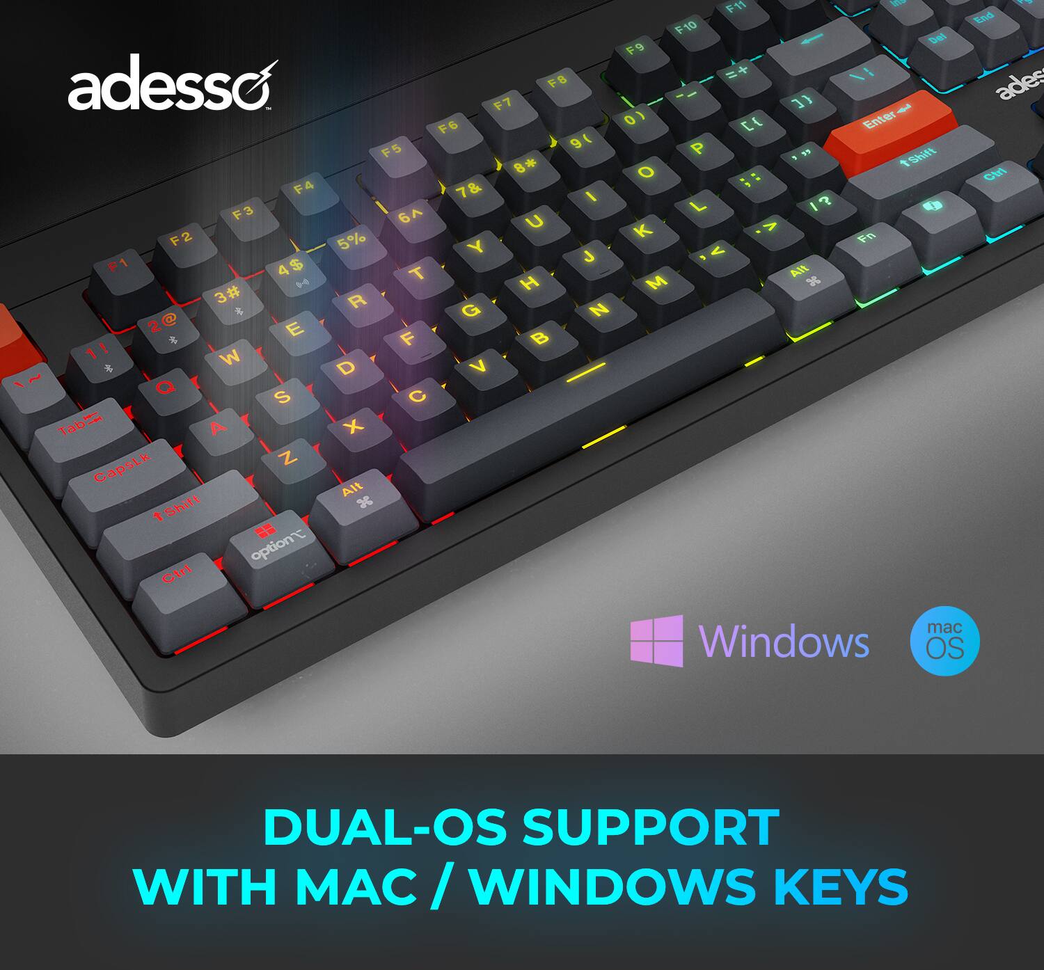 F11 F10 F9 F8 adesso F7 -- 31 F6 01 E F5 91 P 15 8 O :: F : F4 7& I ? F3 L I 6 U K  F2 5% Y J < F1 4$ AIN M4 T H M 3 3# R @ 4 G  2@ 2 E  F B  W D V Q S C Tab A X CapsLk Z Alt Shift x 2 option Ctrl - Del VI Enter tShift FA End adess Ctri mac Windows OS DUAL-OS SUPPORT WITH MAC / WINDOWS / KEYS