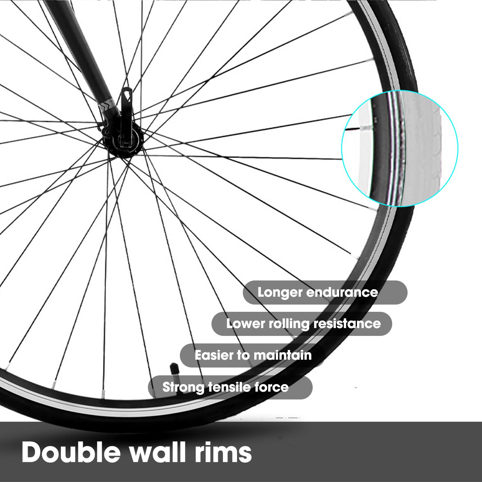 - Longer endurance
- Lower rolling resistance
- Easier to maintain
- Strong tensile force
- Double wall rims