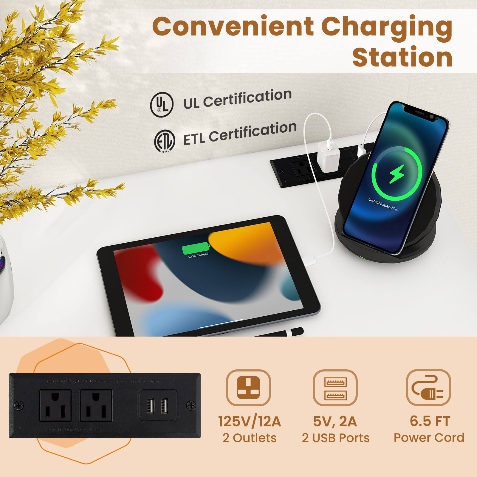 Convenient Charging Station
UL Certification
ETL Certification
125V/12A
2 Outlets
5V, 2A
2 USB Ports
6.5 FT
Power Cord