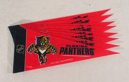 Rico Industries - Florida Panthers NHL Set of 8 (Cool Retro logo) Mini Pennants - Multi
