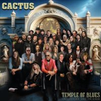 Temple of Blues [LP] - VINYL - Front_Zoom