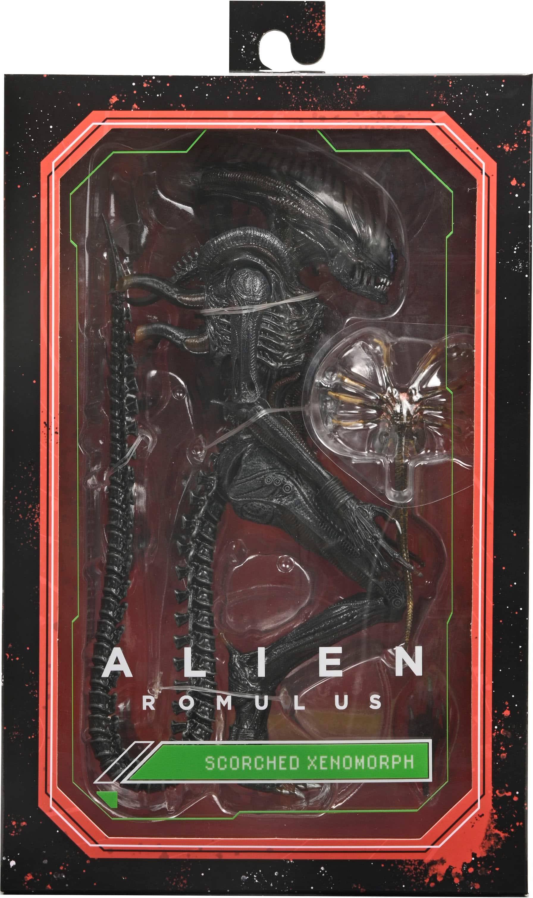 The text on the image is already grouped and correctly spelled.