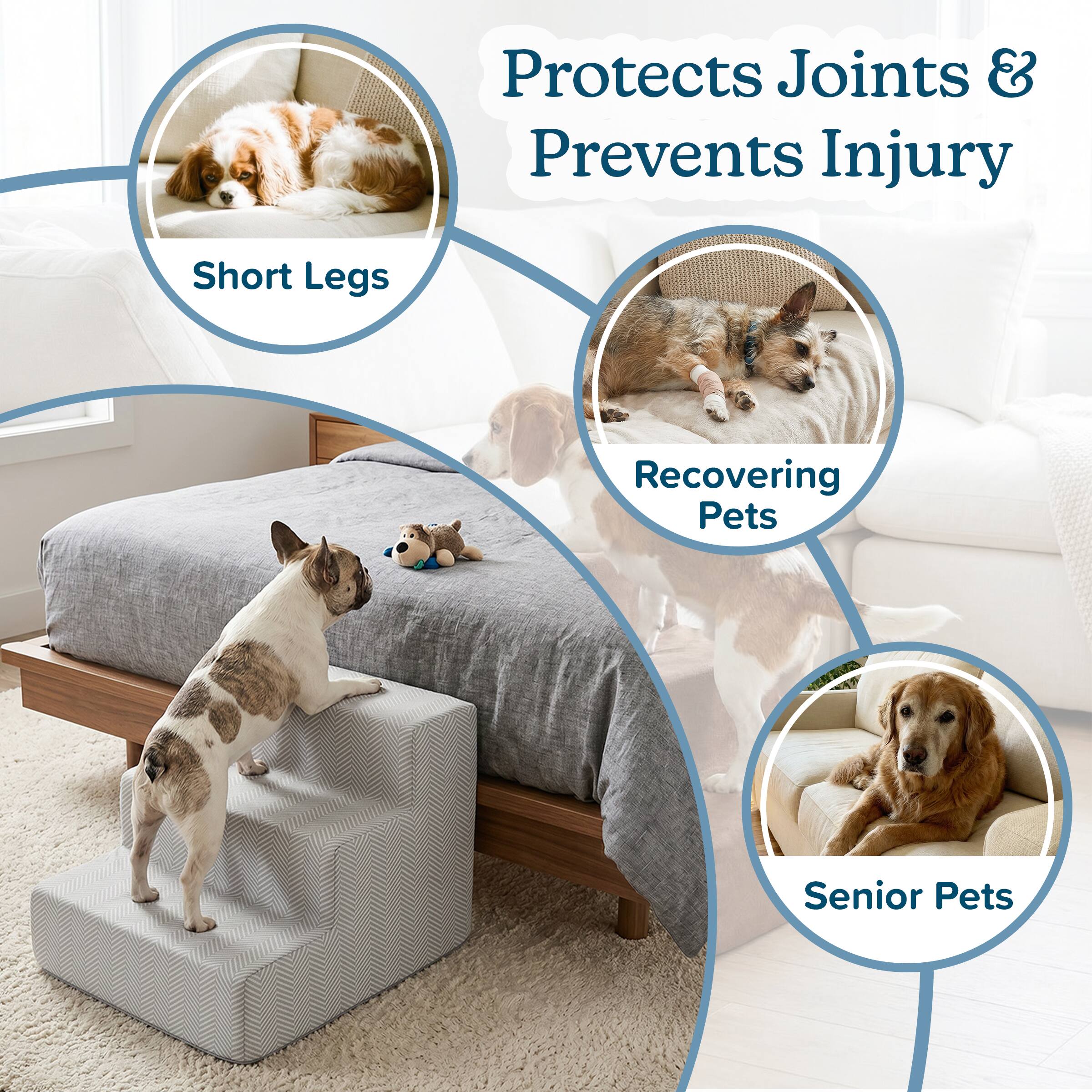 Protects Joints & Prevents Injury  
- Short Legs  
- Recovering Pets  
- Senior Pets