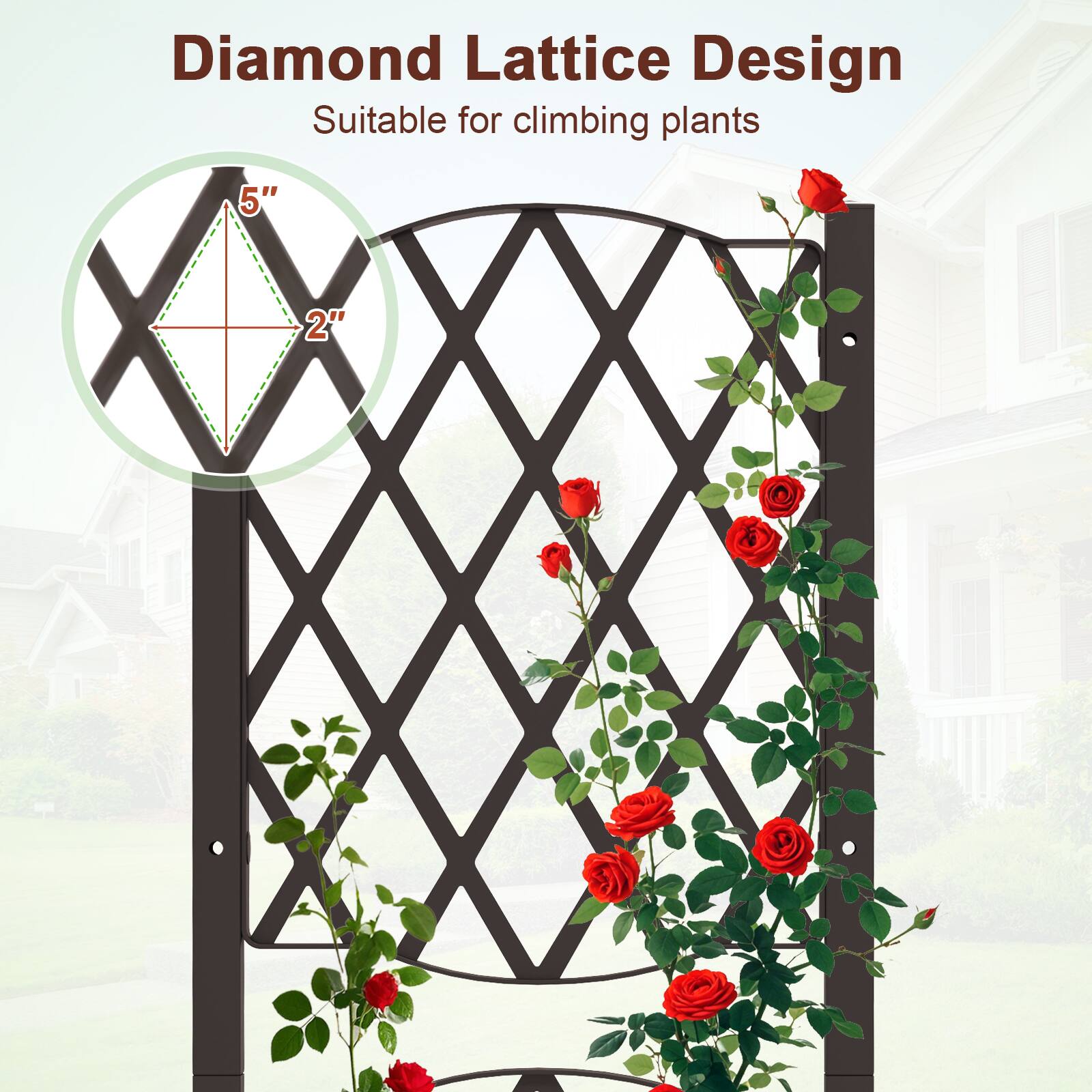 Diamond Lattice Design  
Suitable for climbing plants  

5"  
2"