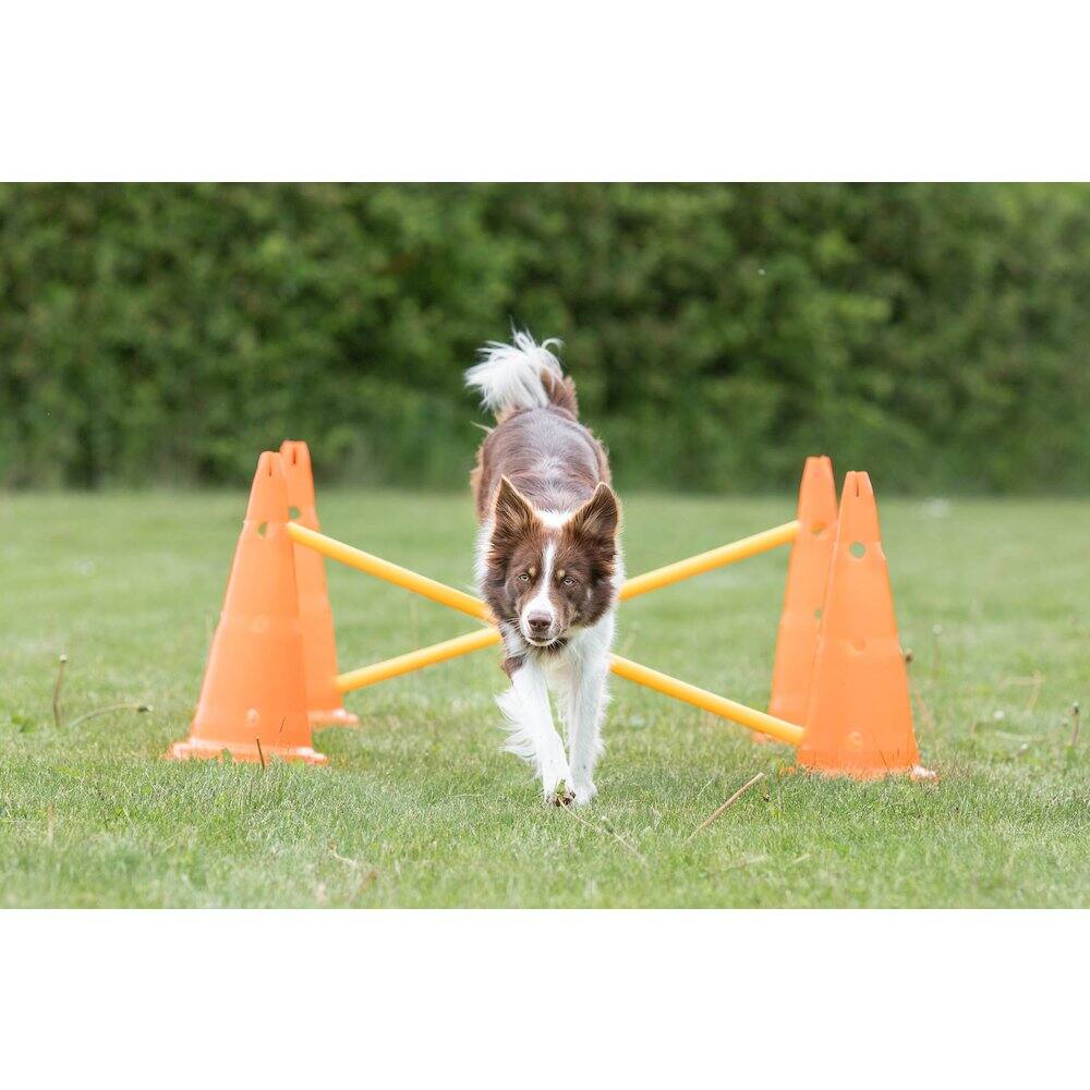 Angle. TRIXIE - Dog Agility Hurdle Cone Set, Obstacle Training - Orange/Yellow.