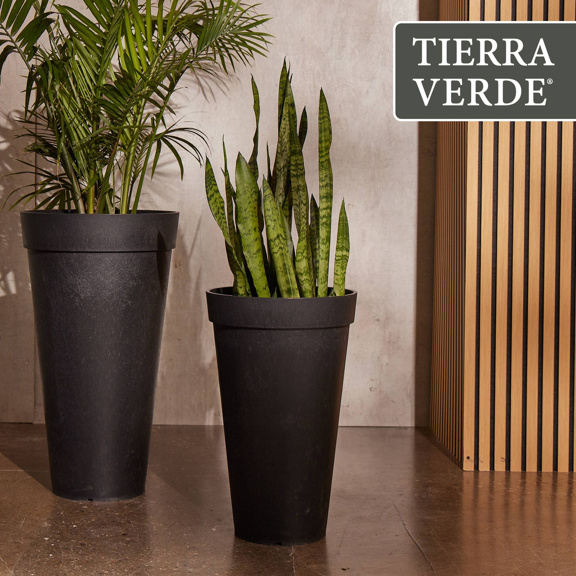 TIERRA VERDE®