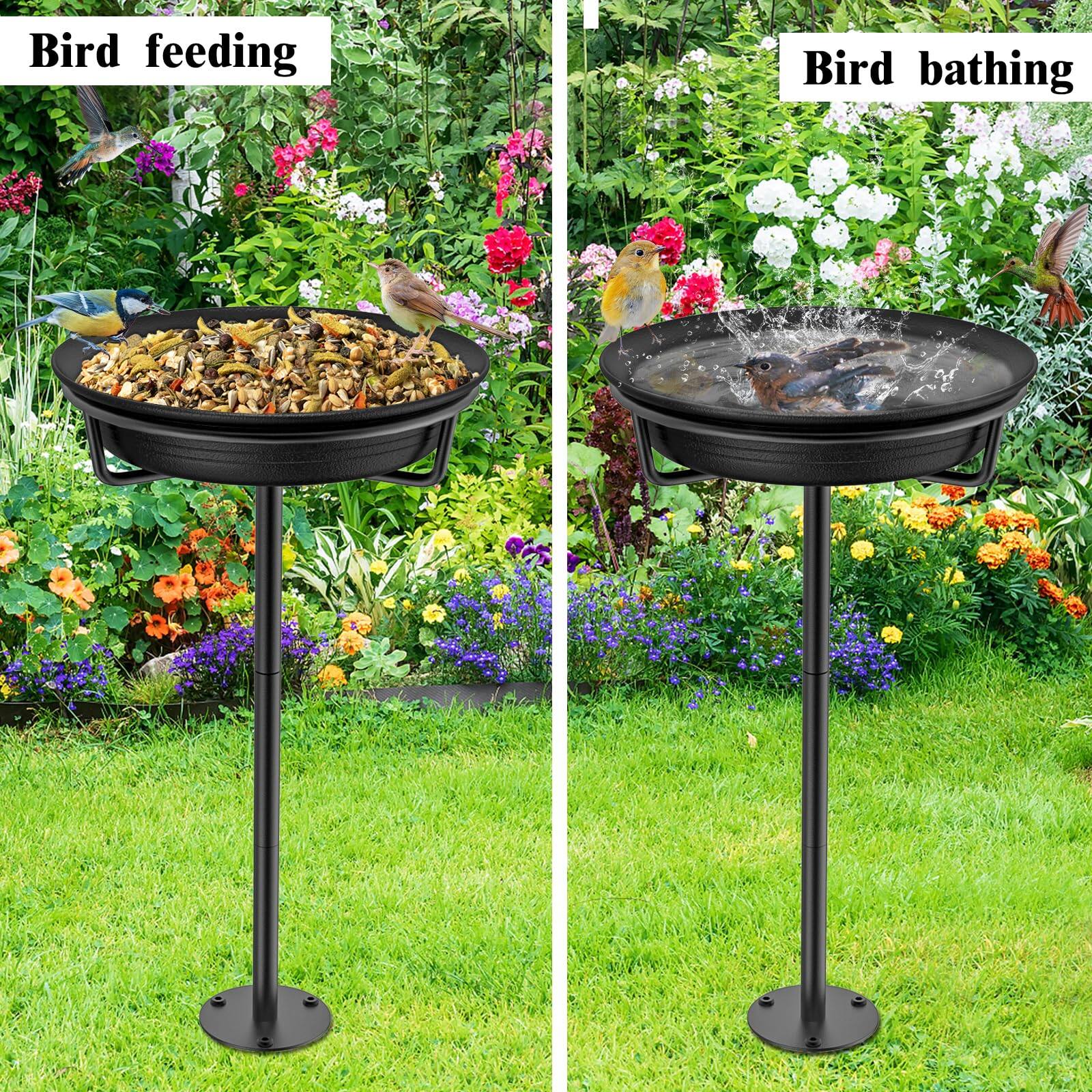 Bird feeding

Bird bathing