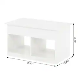 FurniFact Lift Top Coffee Table with Storage and Durable Construction ...