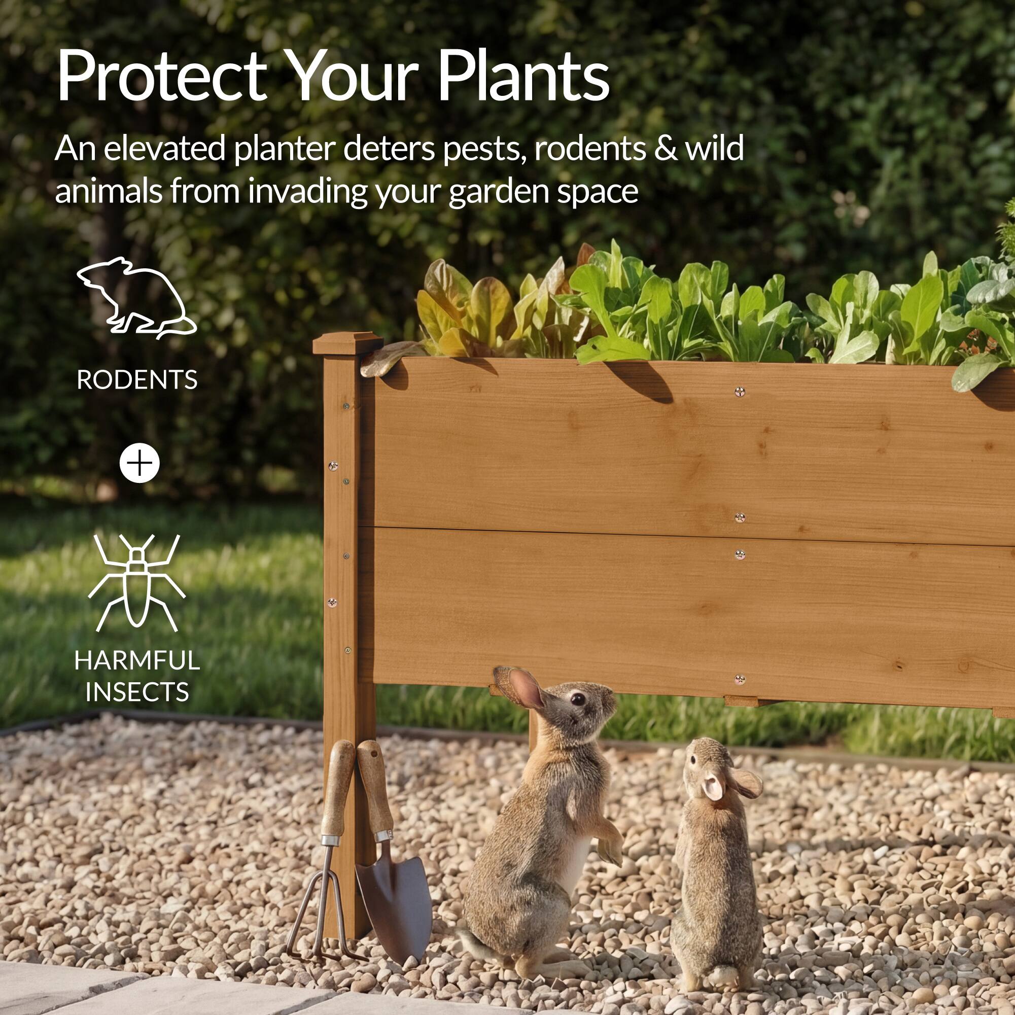 Protect Your Plants

An elevated planter deters pests, rodents & wild animals from invading your garden space

RODENTS + HARMFUL INSECTS