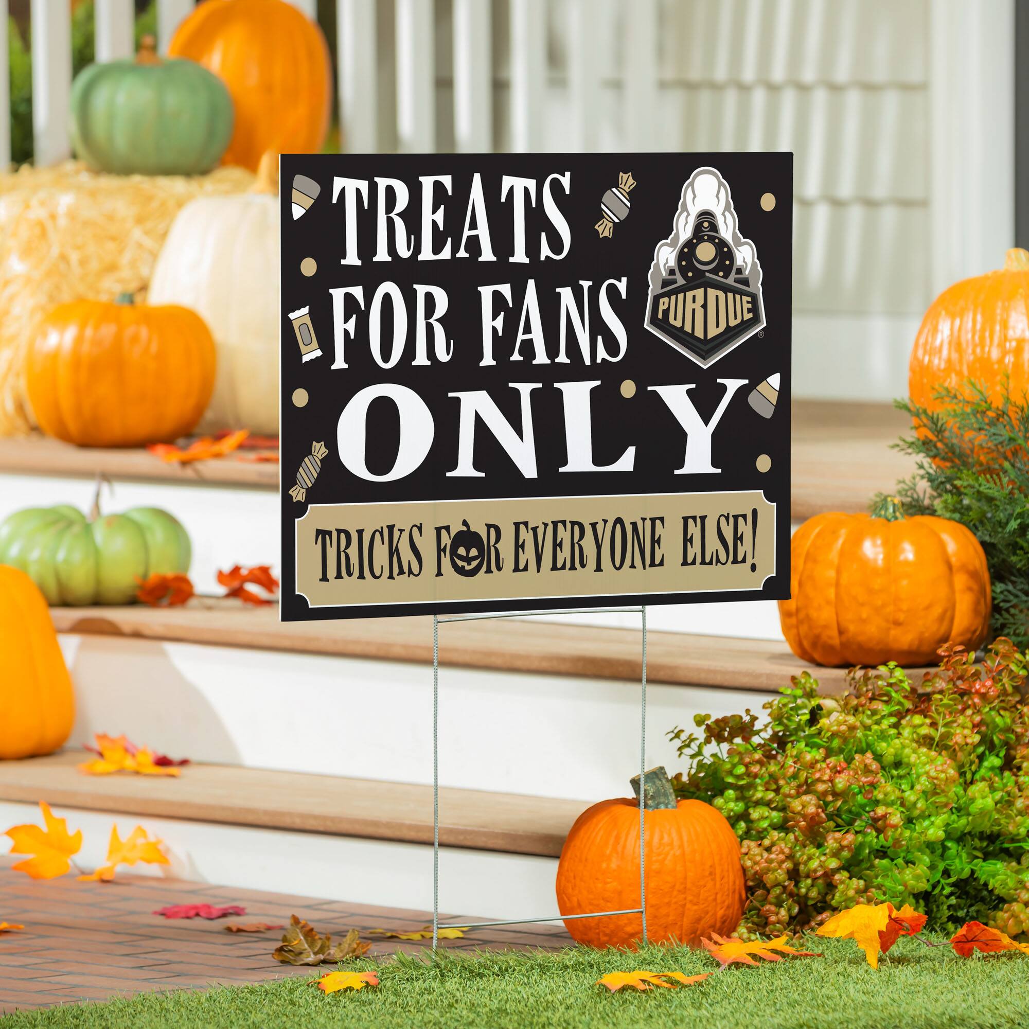 TREATS FOR FANS ONLY  
TRICKS FOR EVERYONE ELSE!