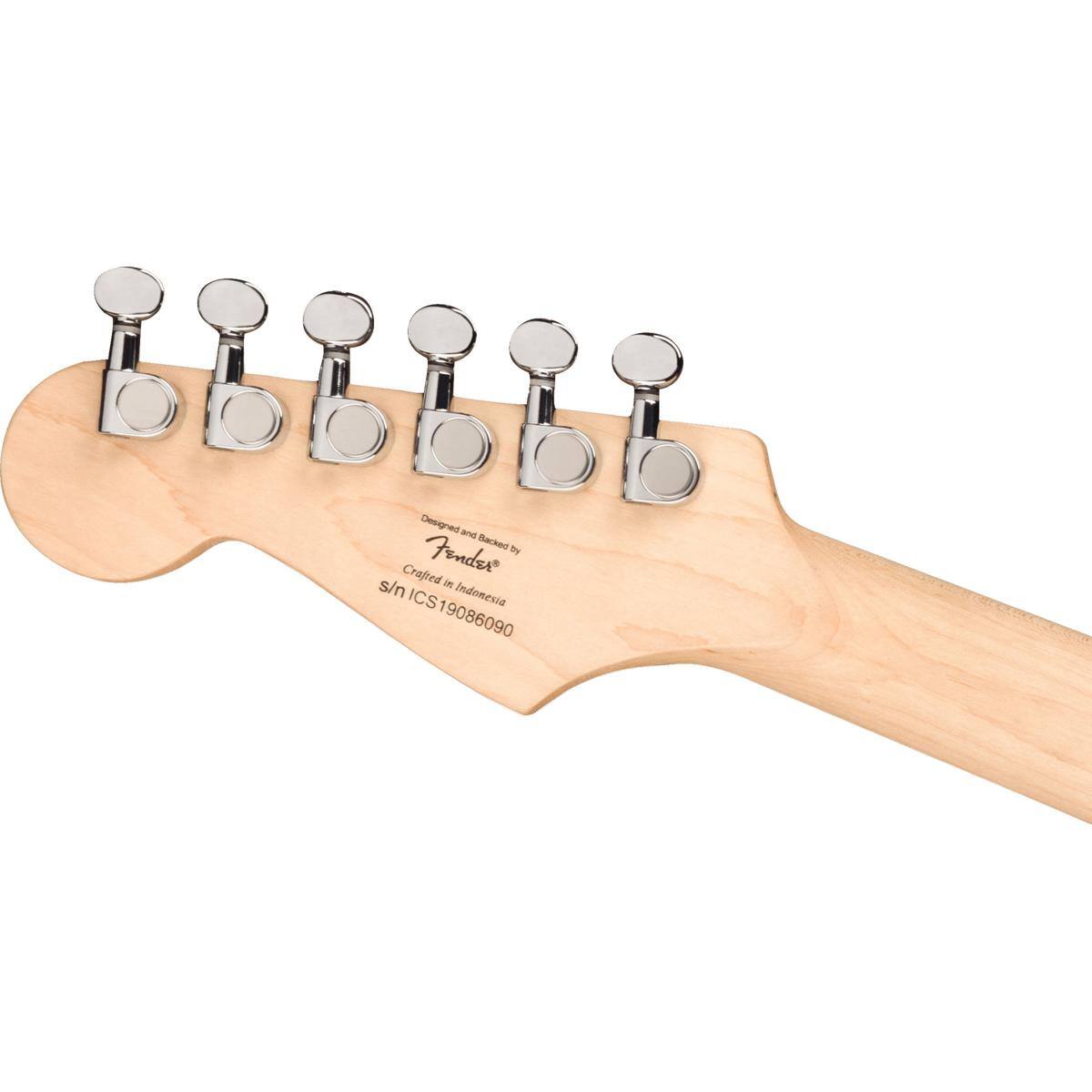 Designed and Backed by Fender®  
Crafted in Indonesia  
s/n ICS19086090