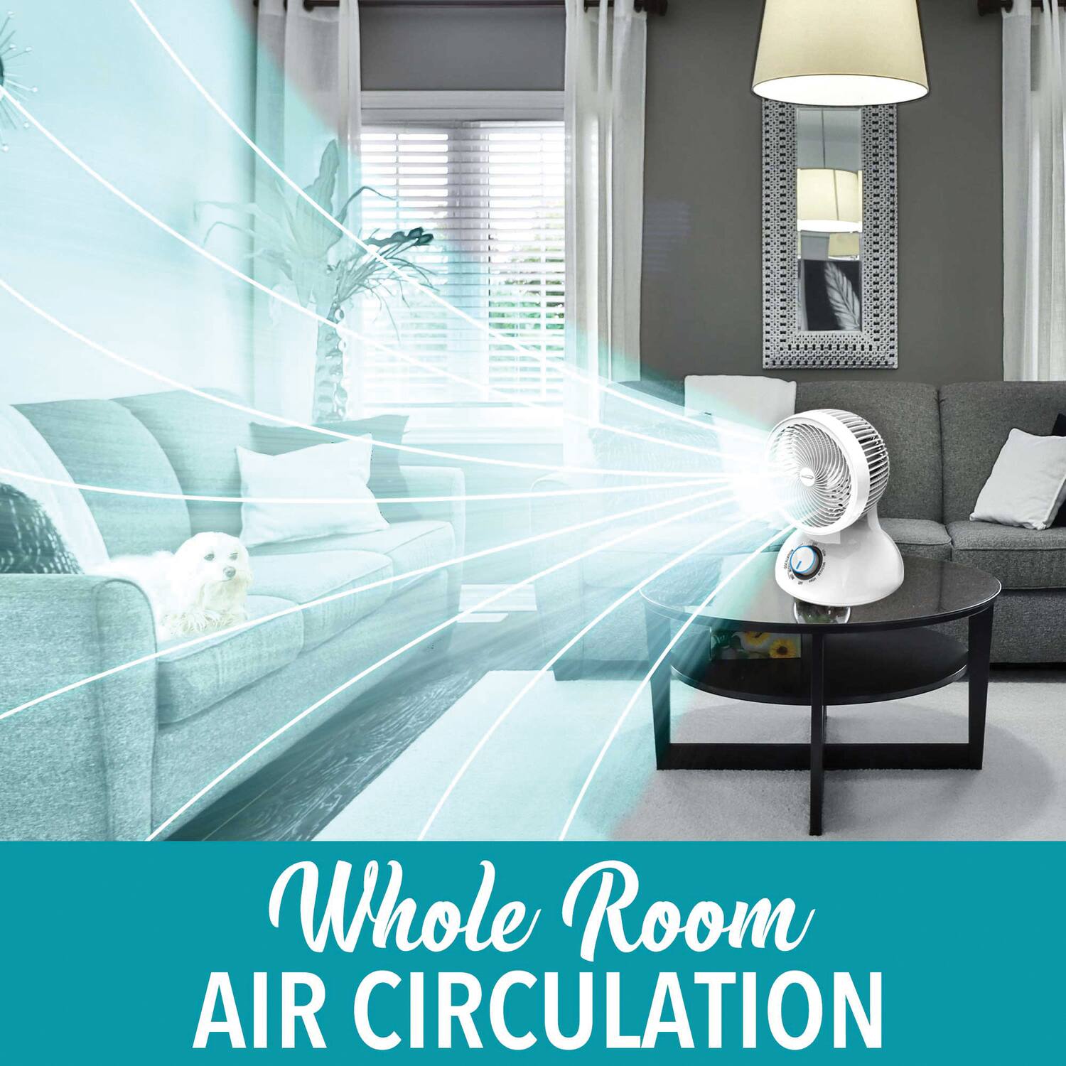 Whole Room Air Circulation