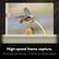 High-speed frame capture.
120 photos per second. 1/16,000 sec shutter speed.