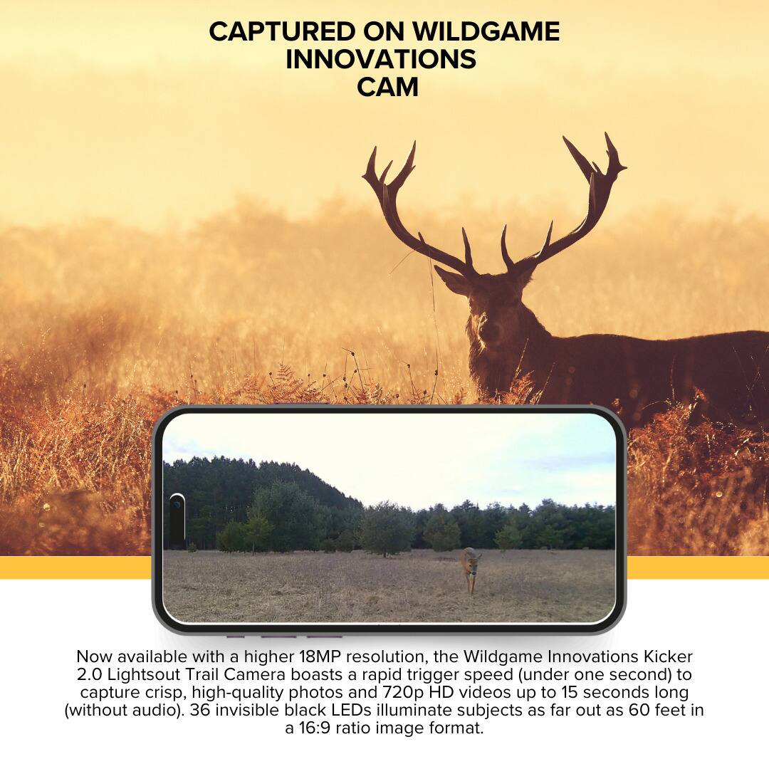 CAPTURED ON WILDGAME INNOVATIONS CAM

Now available with a higher 18MP resolution, the Wildgame Innovations Kicker 2.0 Lightsout Trail Camera boasts a rapid trigger speed (under one second) to capture crisp, high-quality photos and 720p HD videos up to 15 seconds long (without audio). 36 invisible black LEDs illuminate subjects as far out as 60 feet in a 16:9 ratio image format.