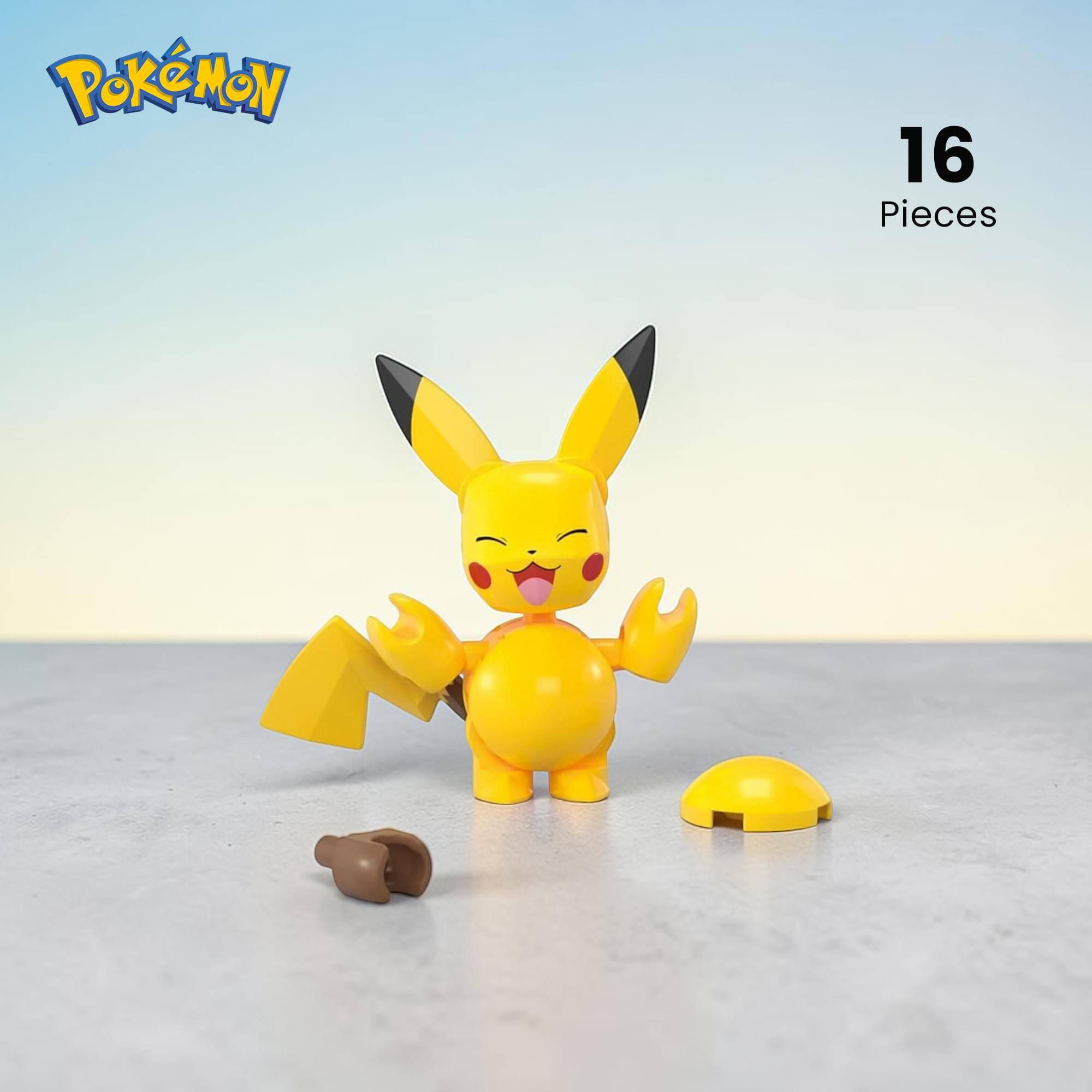 Pokémon 16 Pieces