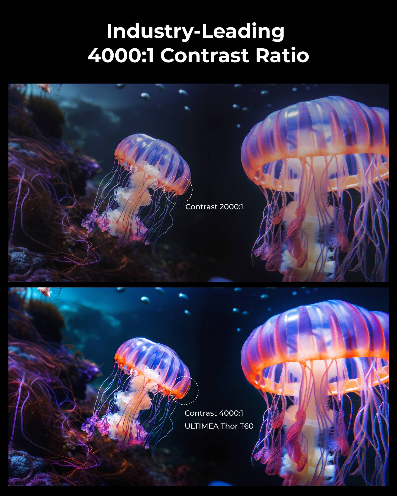 Industry-Leading 4000:1 Contrast Ratio

Contrast 2000:1

Contrast 4000:1

ULTIMEA Thor T60