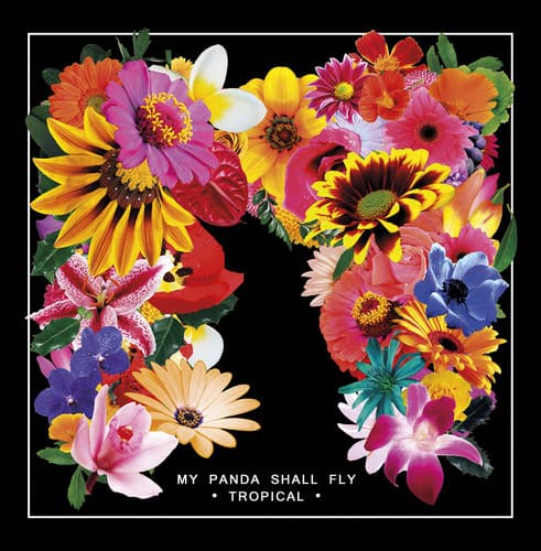 My Panda Shall Fly - Tropical   - VINYL LP price history on PriceWatchPro