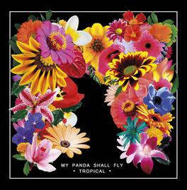 My Panda Shall Fly - Tropical - VINYL LP