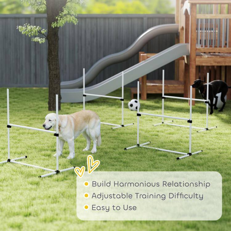 Build Harmonious Relationship  
Adjustable Training Difficulty  
Easy to Use