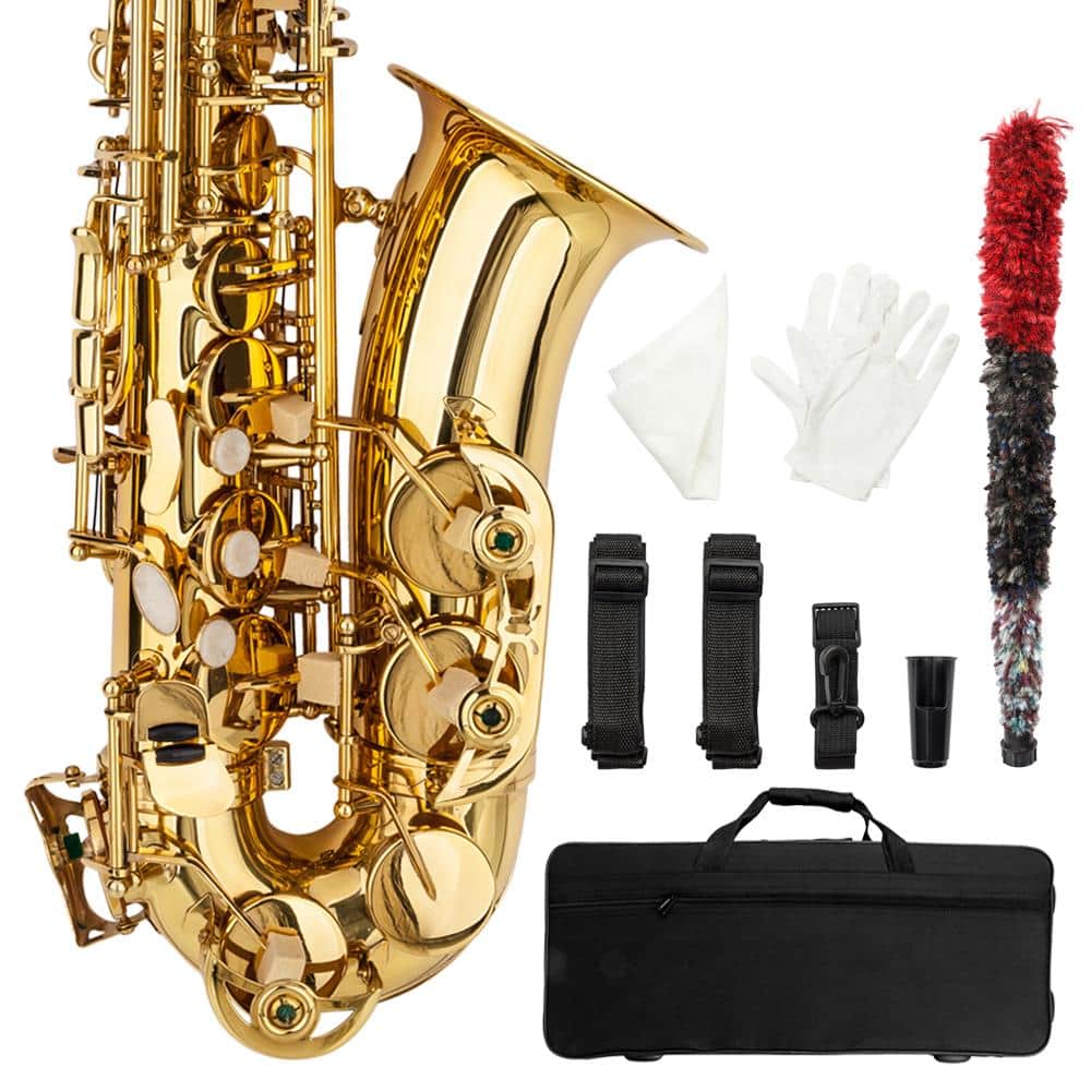 Winado - New Practice Beginner Eb Alto Sax Saxophone School Paint with Case & Accessories price history on PriceWatchPro