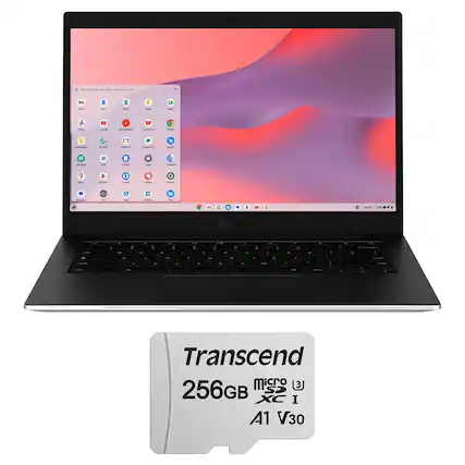 Transcend 256GB microSDXC I A1 V30