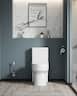 Bothwa Home - T923 One‑Piece Elongated Modern Compact Design Toilet - White