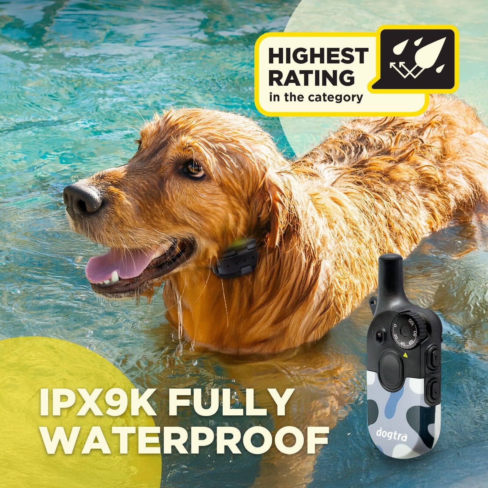 HIGHEST RATING in the category

IPX9K FULLY WATERPROOF

dogtra
