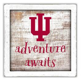 Fan Creations - Indiana Hoosiers 14'' x 13'' Adventure Awaits Money Box - Multicolor