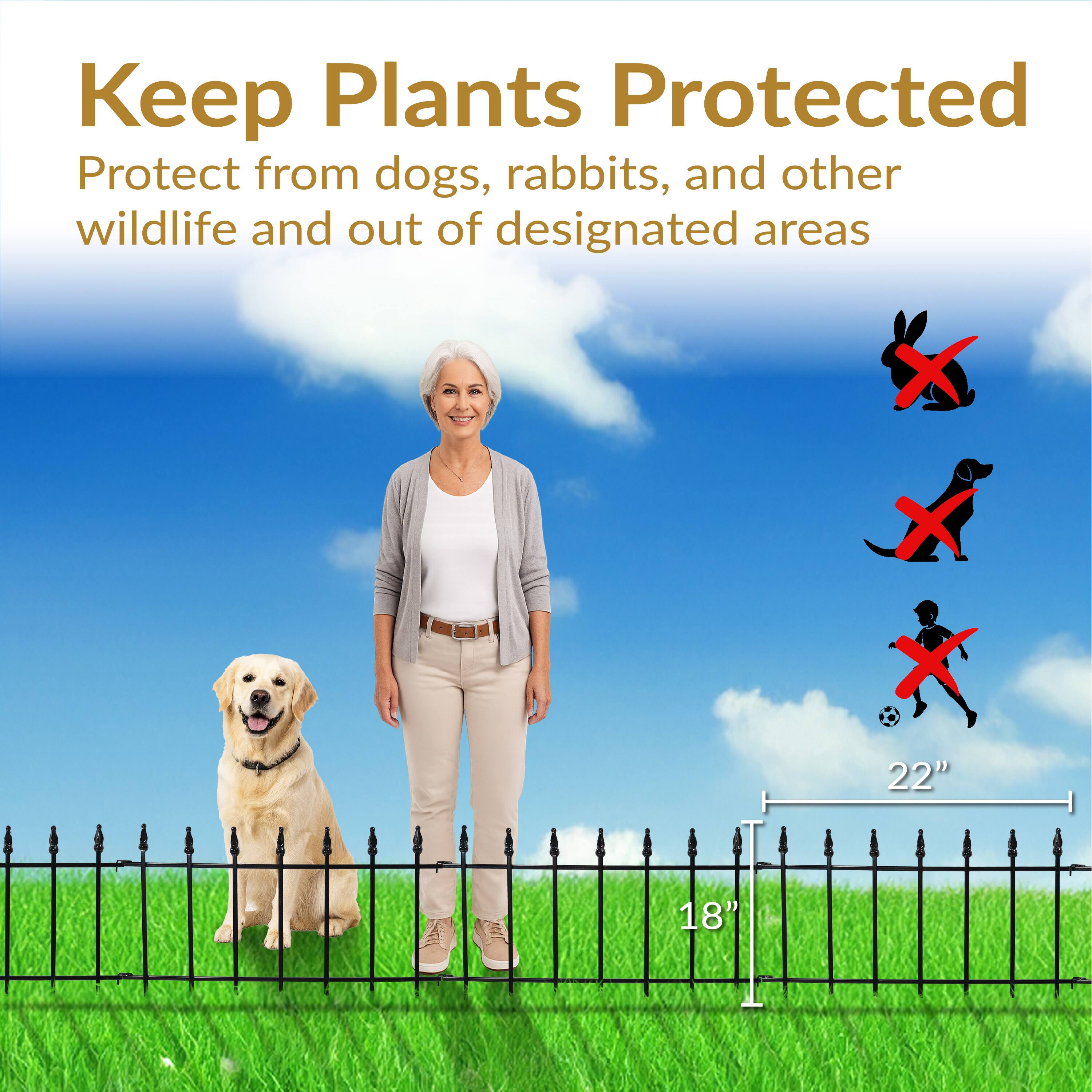 Keep Plants Protected  
Protect from dogs, rabbits, and other wildlife and out of designated areas  

22"  
18"