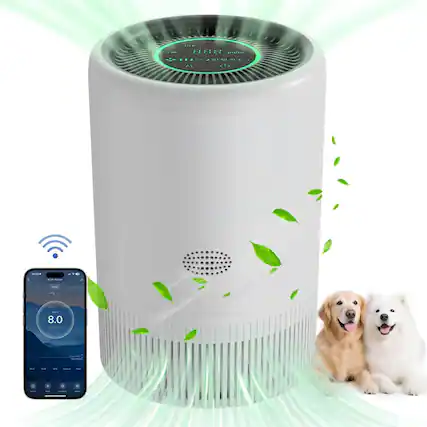 Sure, here is the corrected text:
- IFO IT. 888
- 2HO
- A P
- 1.0
- 8.0
The text appears to be a mix of letters and numbers, possibly part of a code or identifier.