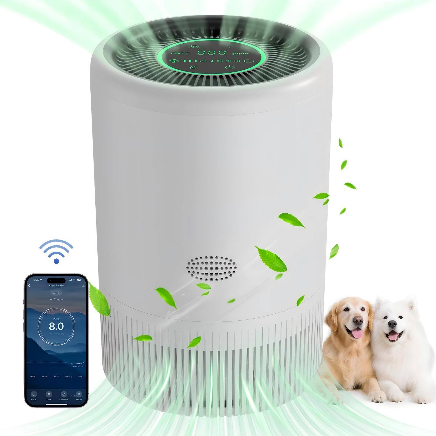 Sure, here is the corrected text:

- IFO IT. 888
- 2HO
- A P
- 1.0
- 8.0

The text appears to be a mix of letters and numbers, possibly part of a code or identifier.