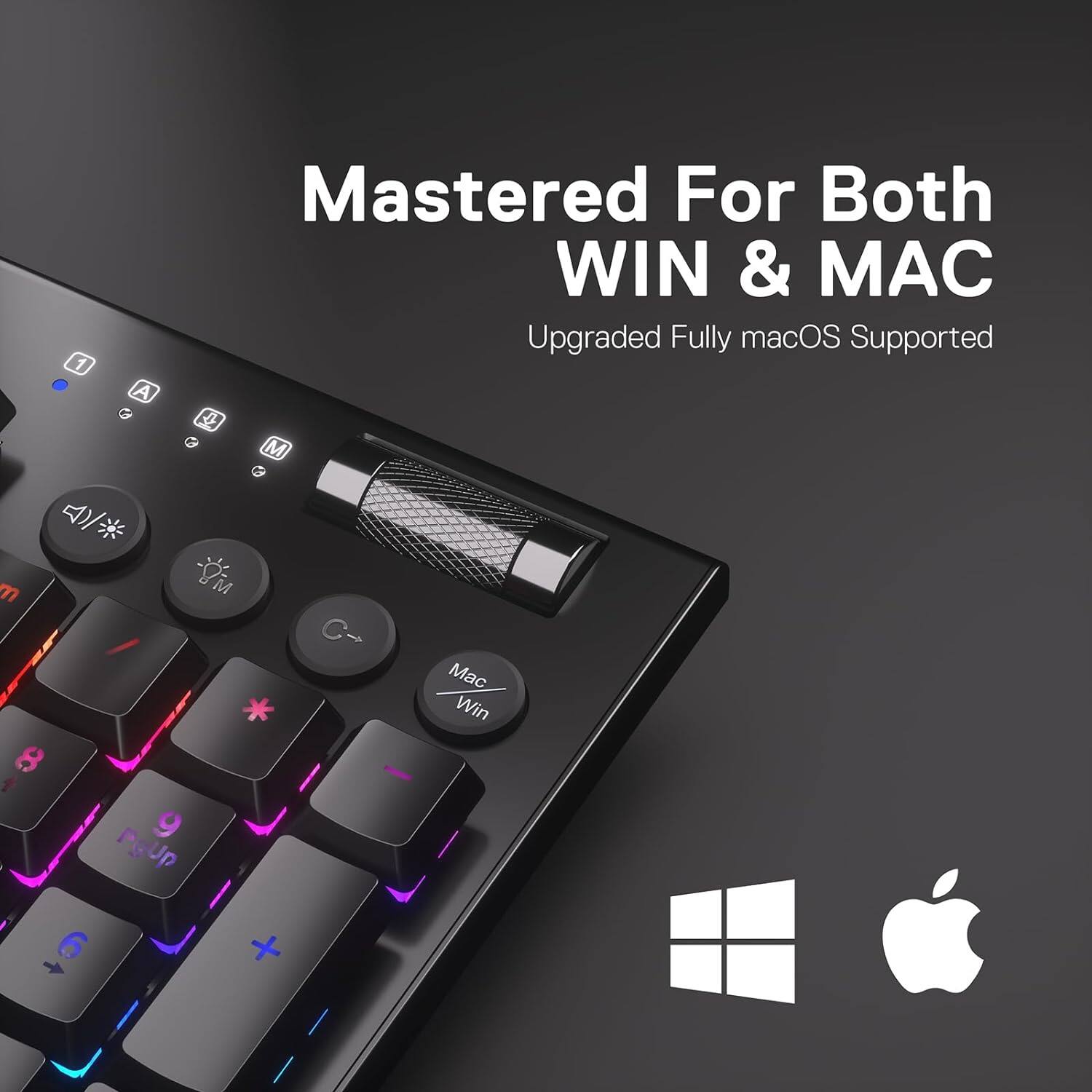 1
A
Mastered For Both WIN & MAC
Upgraded Fully macOS Supported
Mac Win