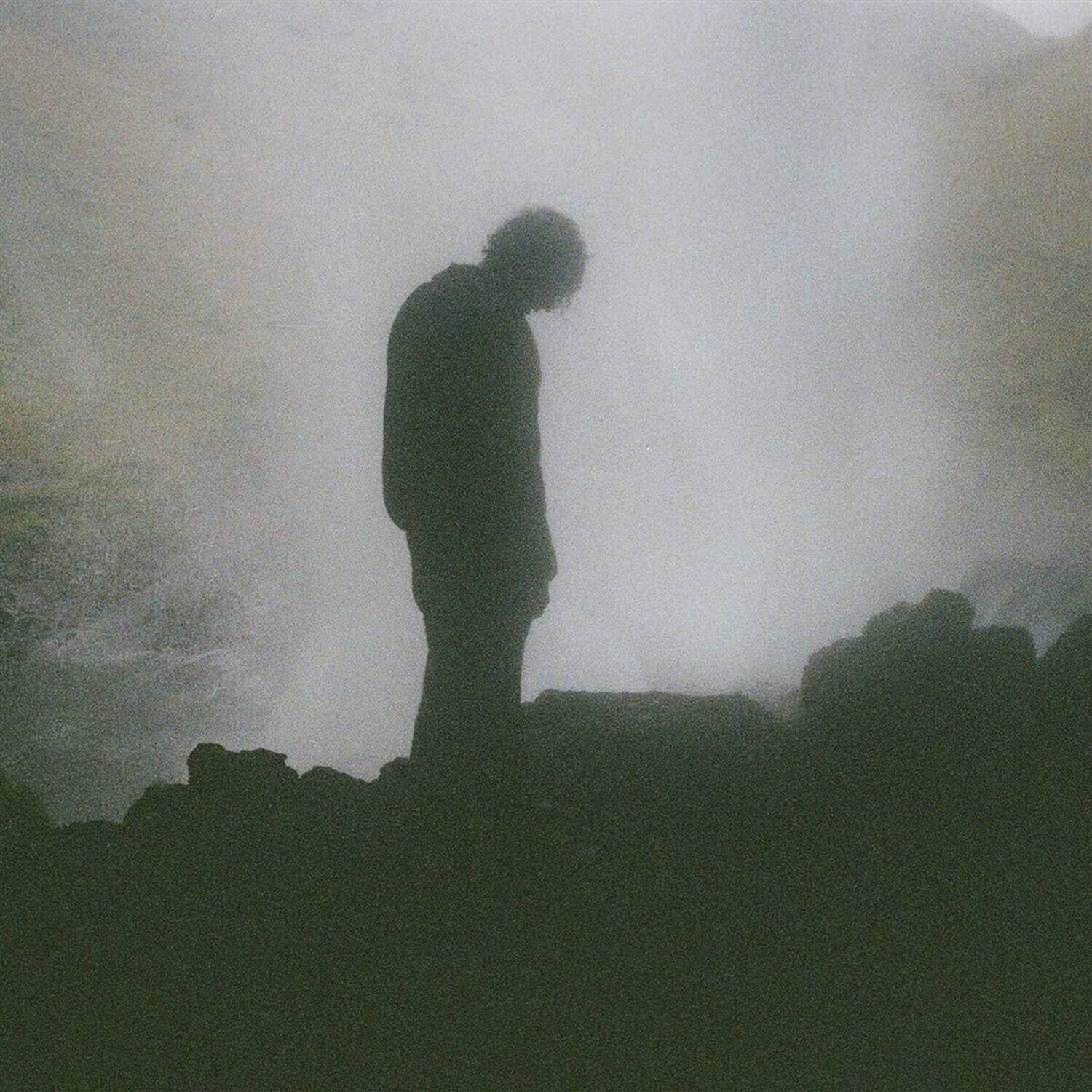 Alt View 1. Palmistry - Afterlife   - VINYL LP.