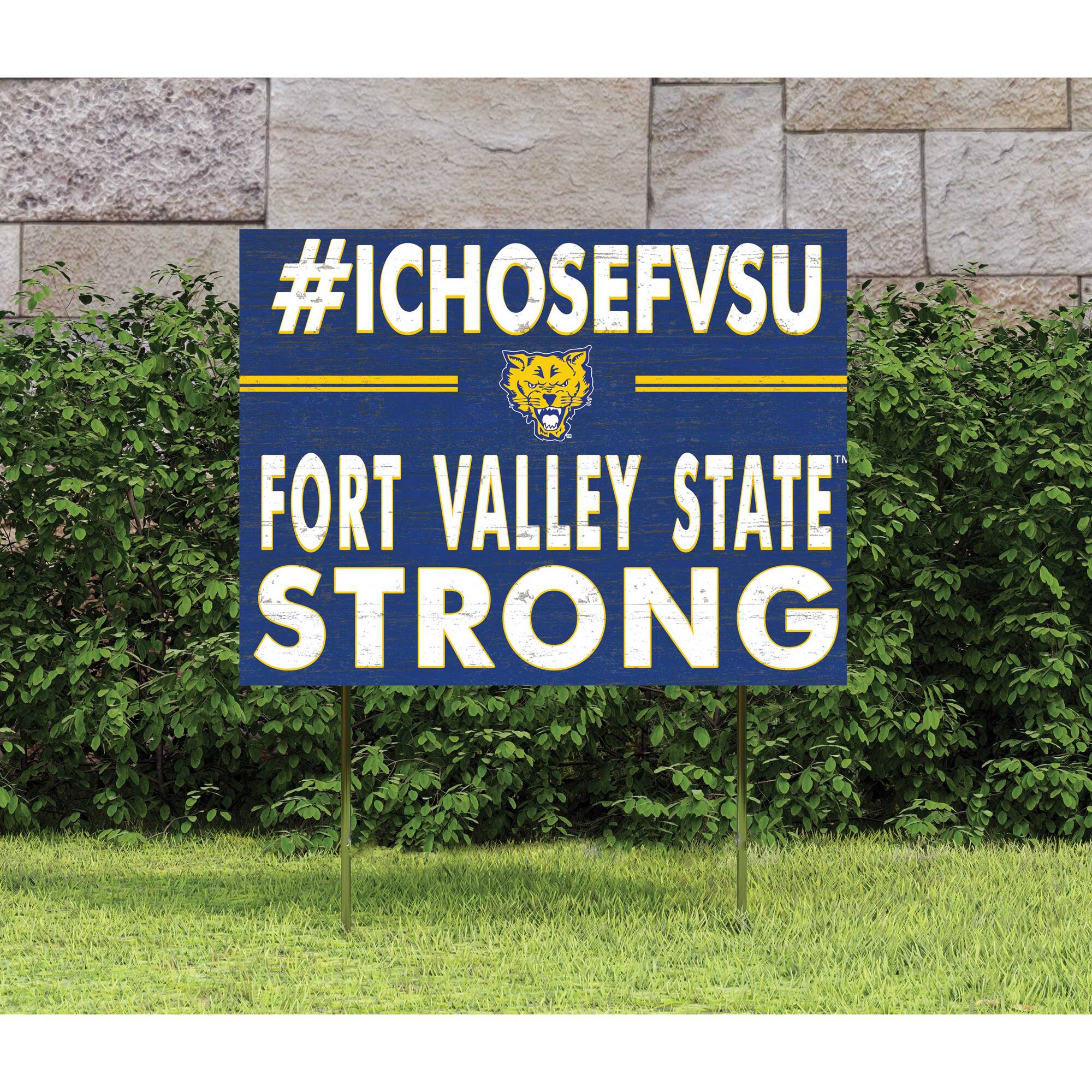 #ICHOOSEFVSU  
FORT VALLEY STATE  
STRONG