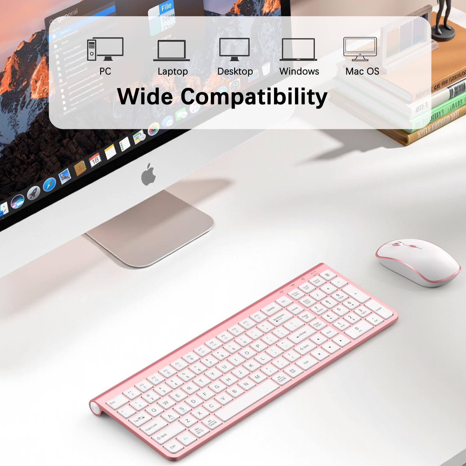 General  
File New On PC Laptop Desktop Windows Mac OS  
Wide Compatibility