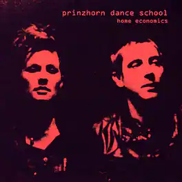 Prinzhorn Dance School - Home Economics - VINYL LP