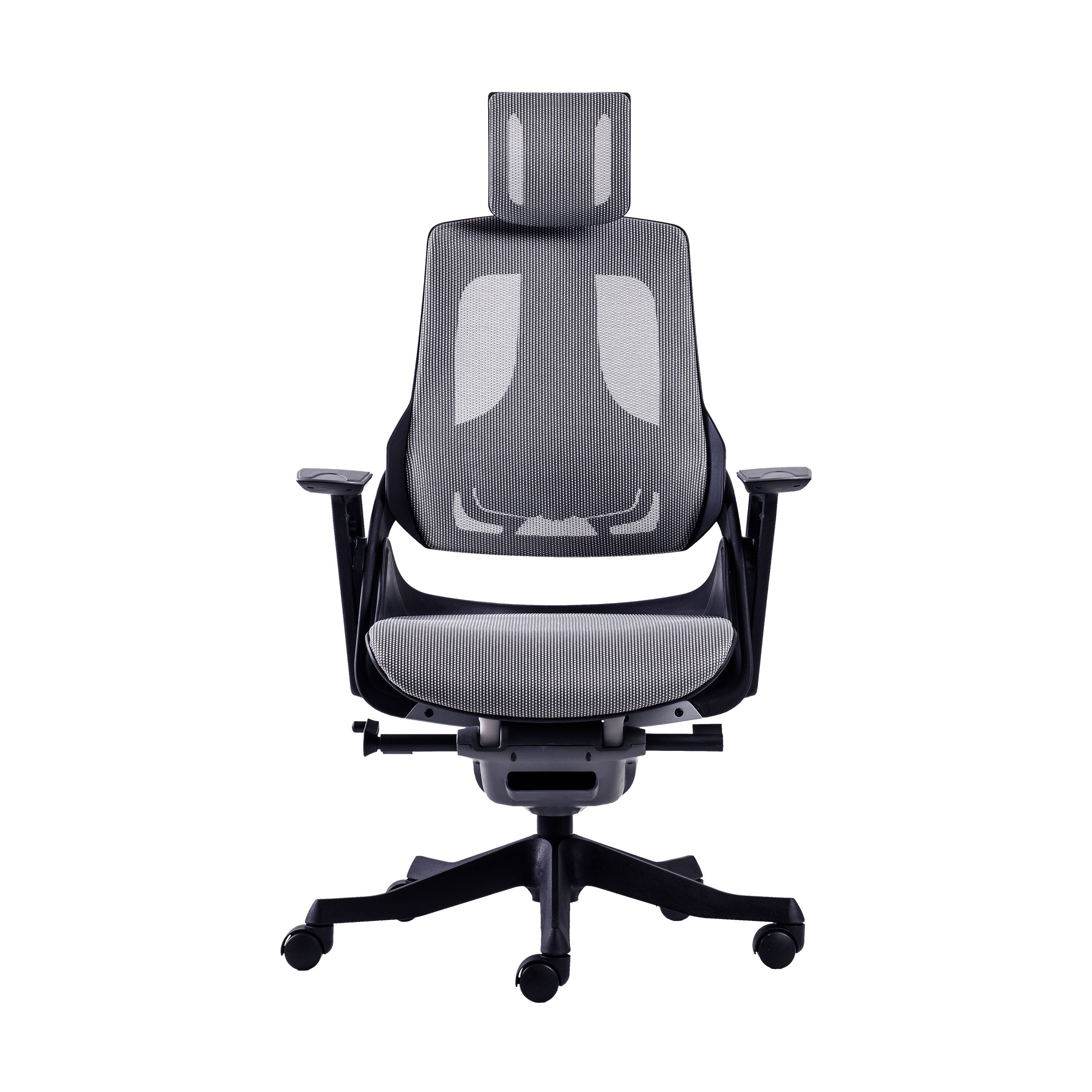 Forest'nSky - Techni Mobili Luxury High-Back Ergonomic Executive Chair, Grey - Gray
