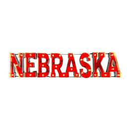 Imperial - Nebraska Huskers Logo Lighted Recycled Metal Sign - Multicolor
