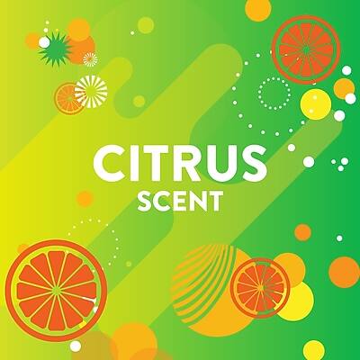 CITRUS SCENT