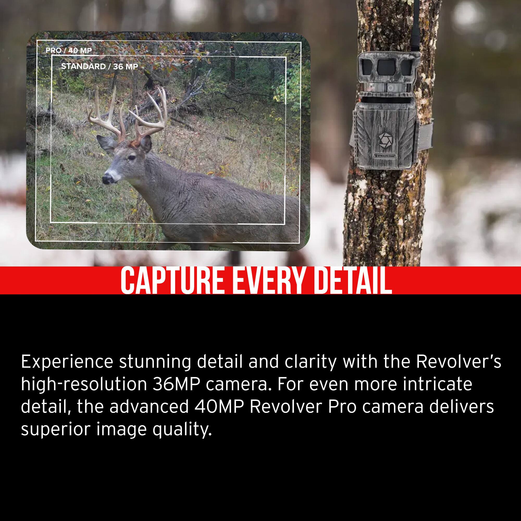 **PRO / 40 MP**  
**STANDARD / 36 MP**

---

**CAPTURE EVERY DETAIL**

Experience stunning detail and clarity with the Revolver's high-resolution 36MP camera. For even more intricate detail, the advanced 40MP Revolver Pro camera delivers superior image quality.