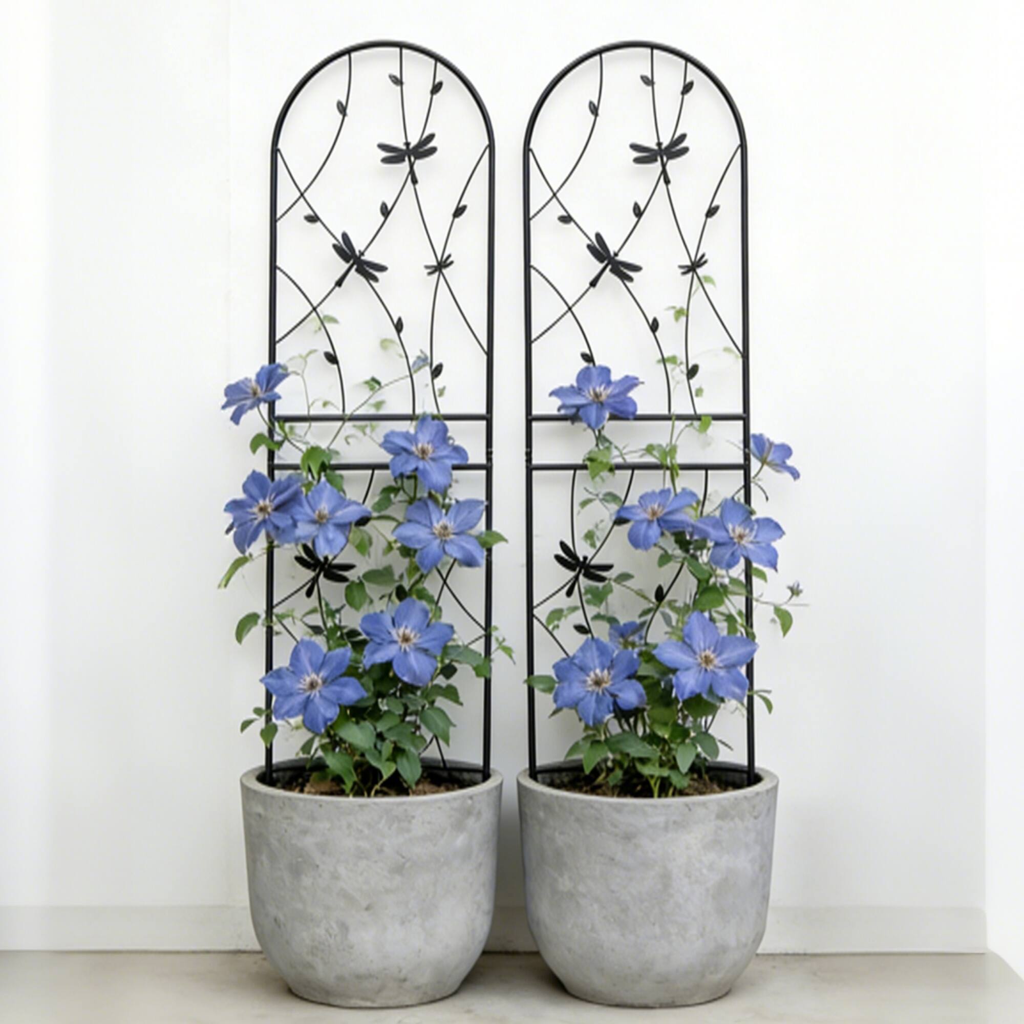 Loheer - Rustproof Metal Garden Trellis Set, 5.9 ft x 1.64 ft Climbing Plant Support for Outdoor Decor, 2 Pack - Black price history on PriceWatchPro