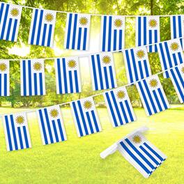 G128 - Uruguay Bunting Banner 33 ft — 38 Mini Flags (8.2 x 5.5 in), 150D Polyester - Assorted Colors