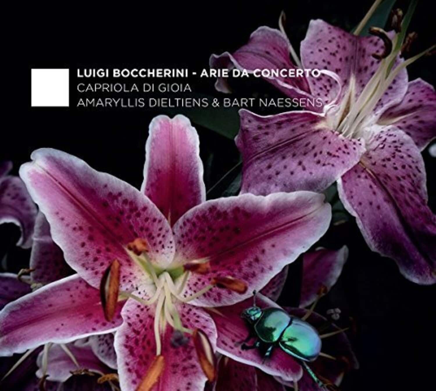 Boccherini / Dieltiens / Naessens - Boccherini: Arie Da Concerto  - COMPACT DISCS