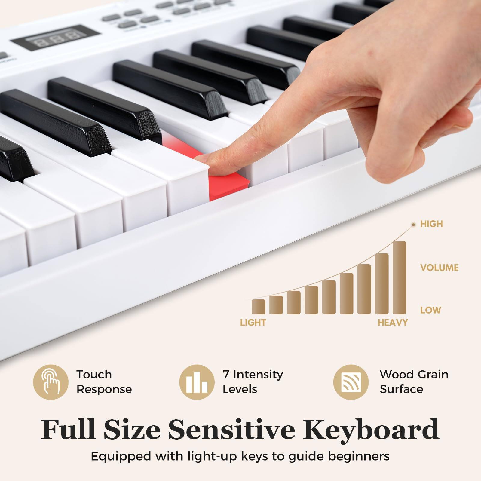 HIGH VOLUME LIGHT LOW HEAVY  
Touch Response  
7 Intensity Levels  
Wood Grain Surface  
Full Size Sensitive Keyboard  
Equipped with light-up keys to guide beginners