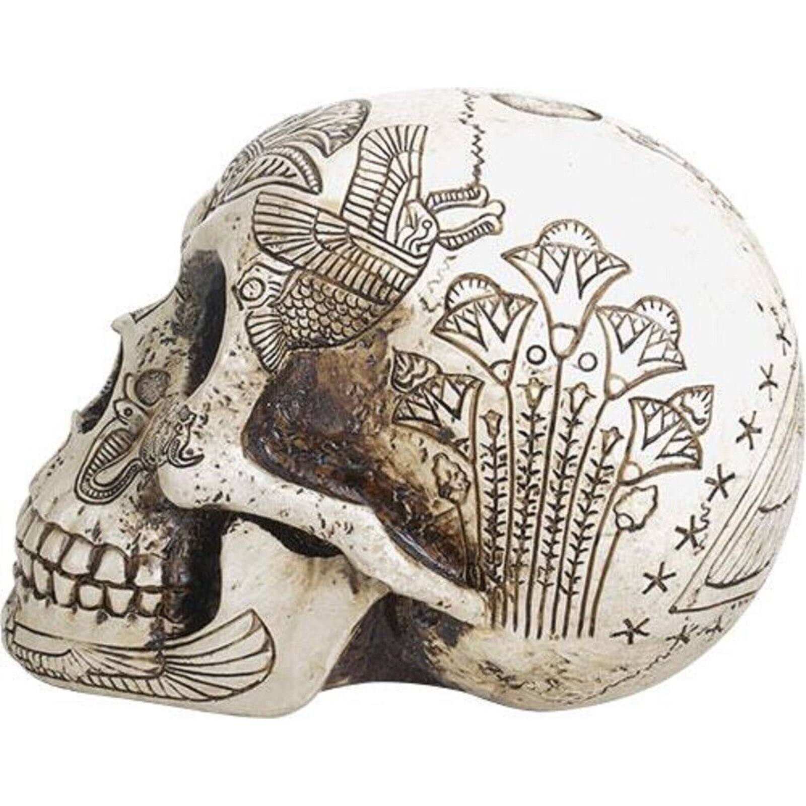 Angle. Pacific Trading - Ancient Egypt Human Skull Etched with Egyptian Symbols Figurine Skeleton 6 inch - Beige.