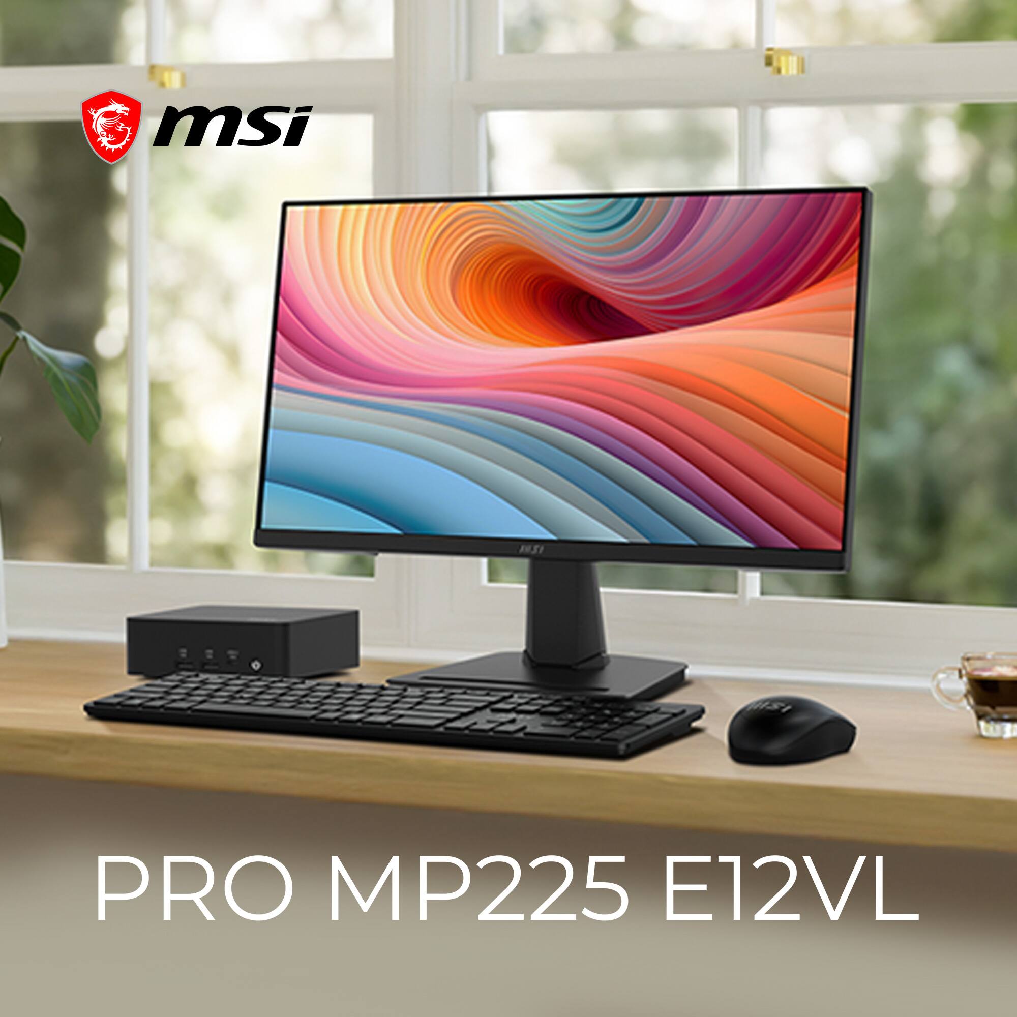 msi PRO MP225 E12VL