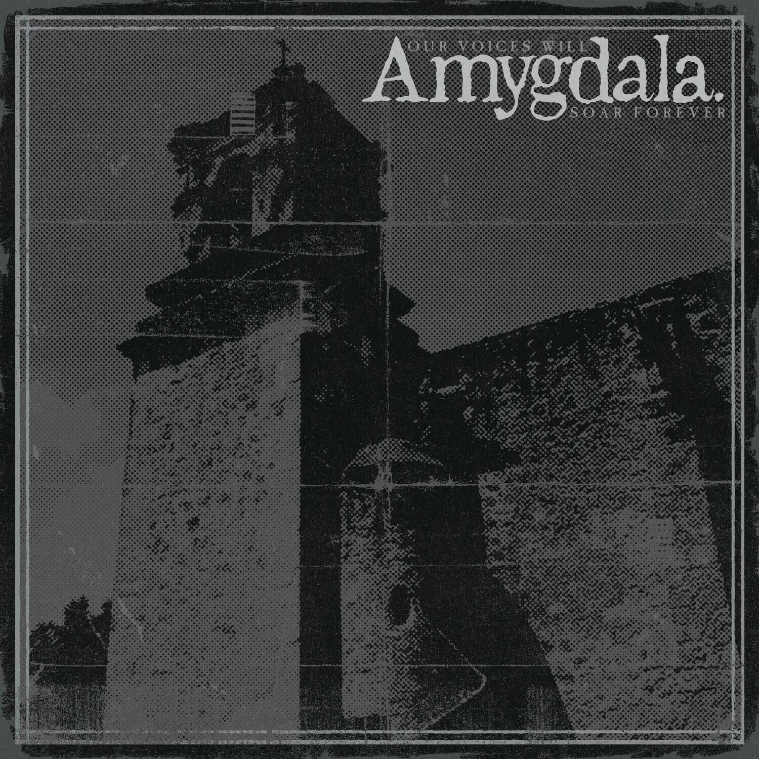 Amygdala - Our Voices Will Soar Forever   - COMPACT DISCS [CD] price history on PriceWatchPro