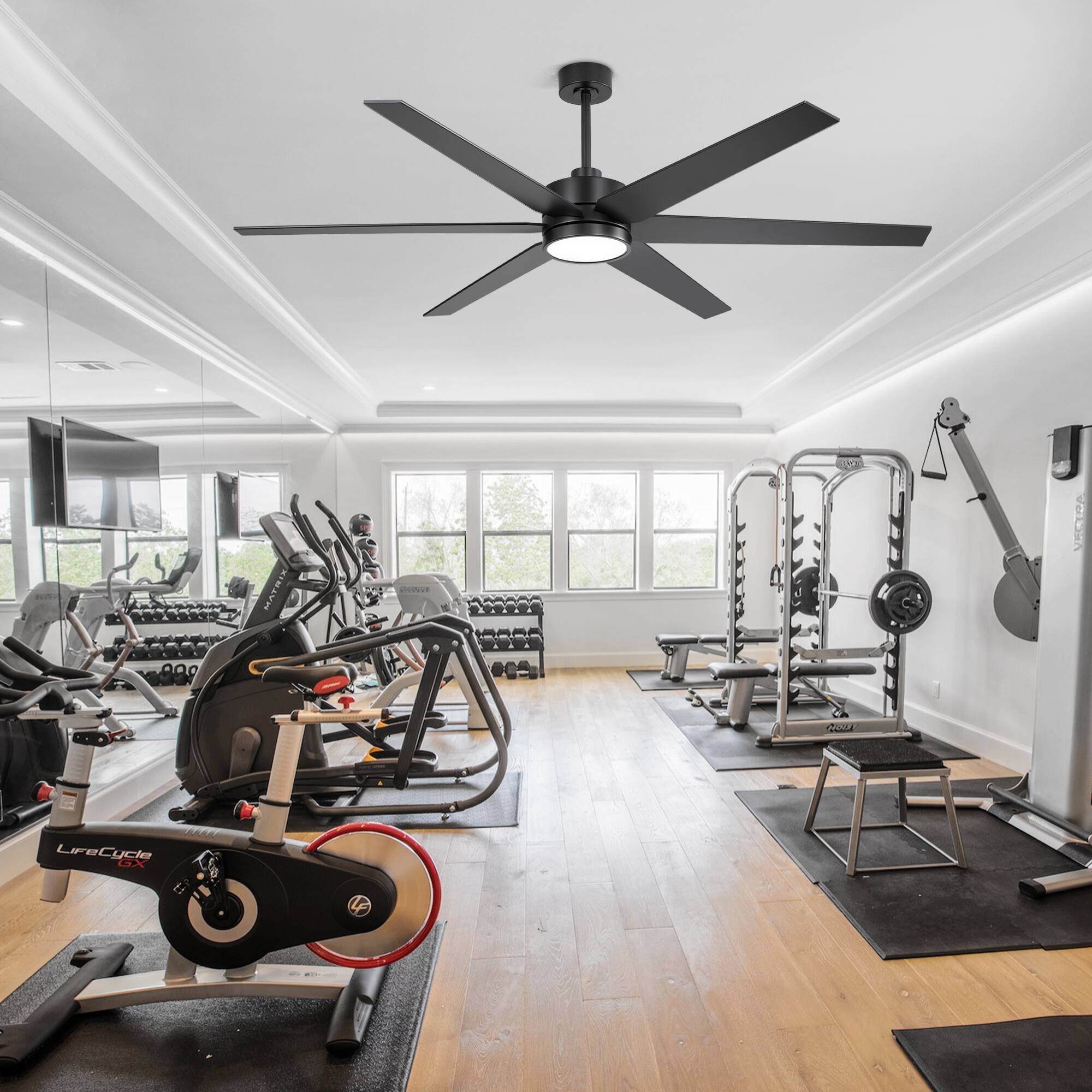 MATRIK AUs d VECTICO  R  LiFeCycle X