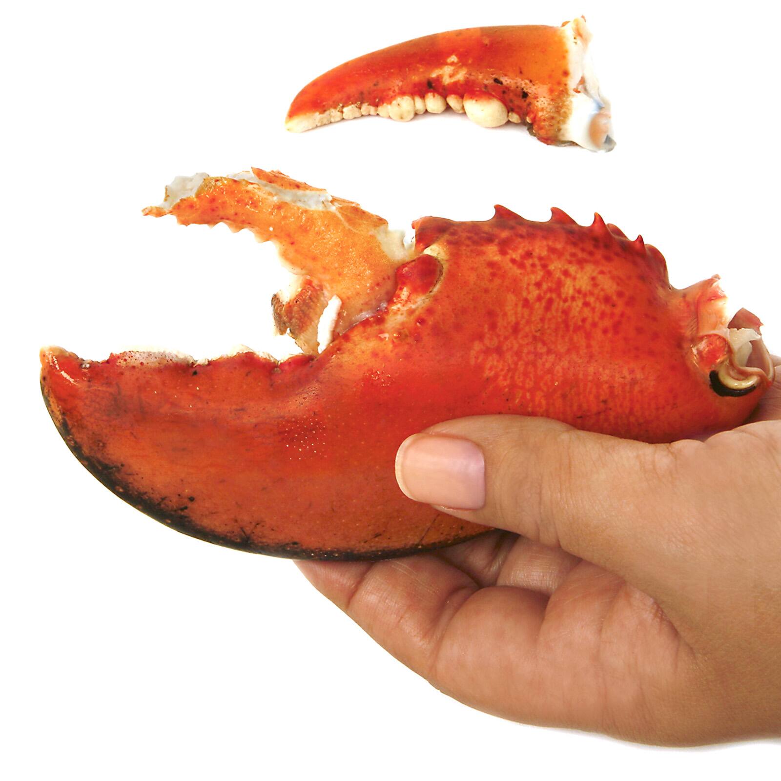 Alt View 4. Norpro - Ultimate Seafood Shears, 7.5-Inch - Red.