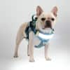 Front. Lumi Pawtners - Lumi One LED Dog Harness Blue - Blue.